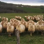 Lägenhet Maison Gure Chokoa Pays Basque