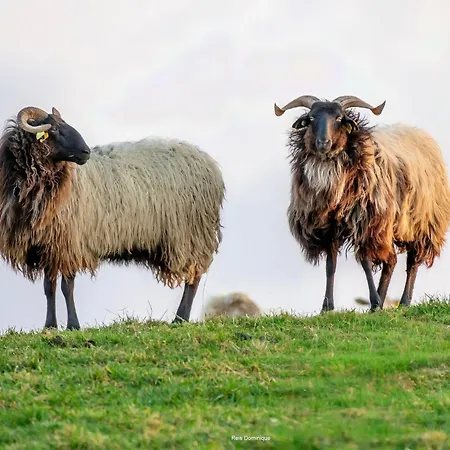 Maison Gure Chokoa Pays Basque *