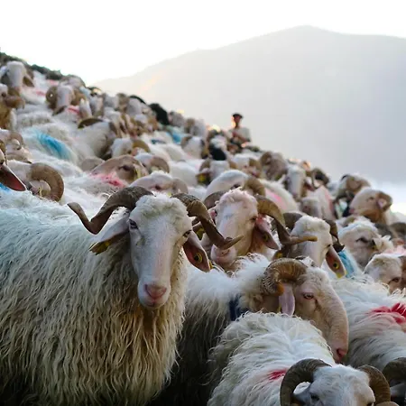 Maison Gure Chokoa Pays Basque Apartament *