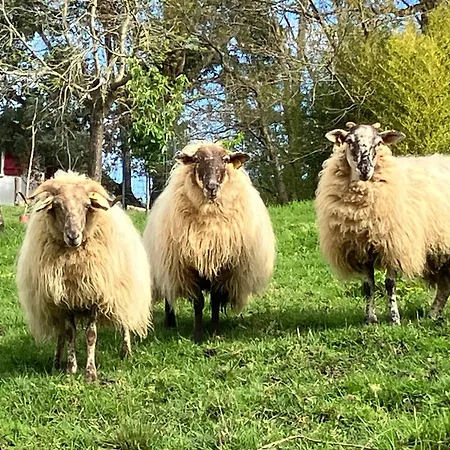 Maison Gure Chokoa Pays Basque Bardos