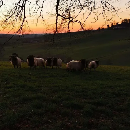 Maison Gure Chokoa Pays Basque