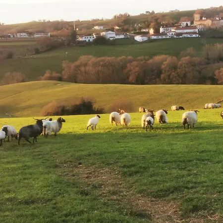 Maison Gure Chokoa Pays Basque Bardos