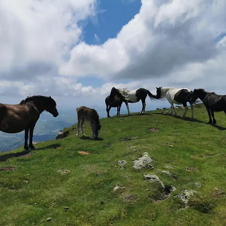 Apartman Maison Gure Chokoa Pays Basque Bardos