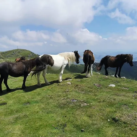 Maison Gure Chokoa Pays Basque *