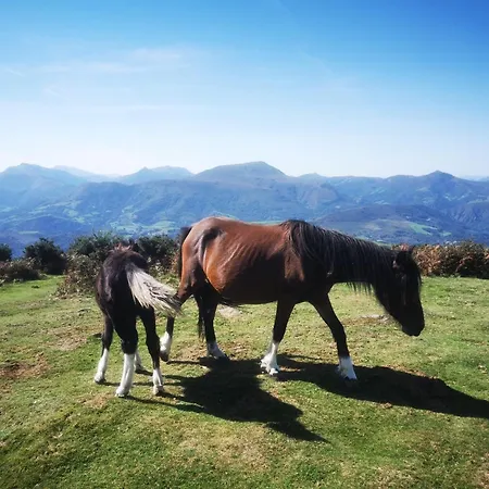 Maison Gure Chokoa Pays Basque Apartman Bardos