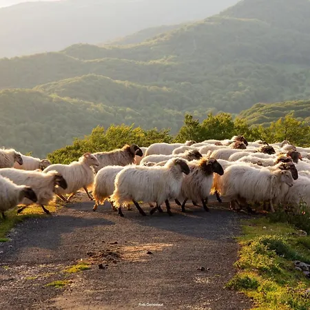Maison Gure Chokoa Pays Basque Lejlighed Bardos