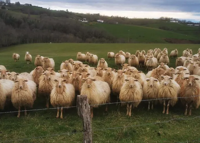 Appartamento Maison Gure Chokoa Pays Basque